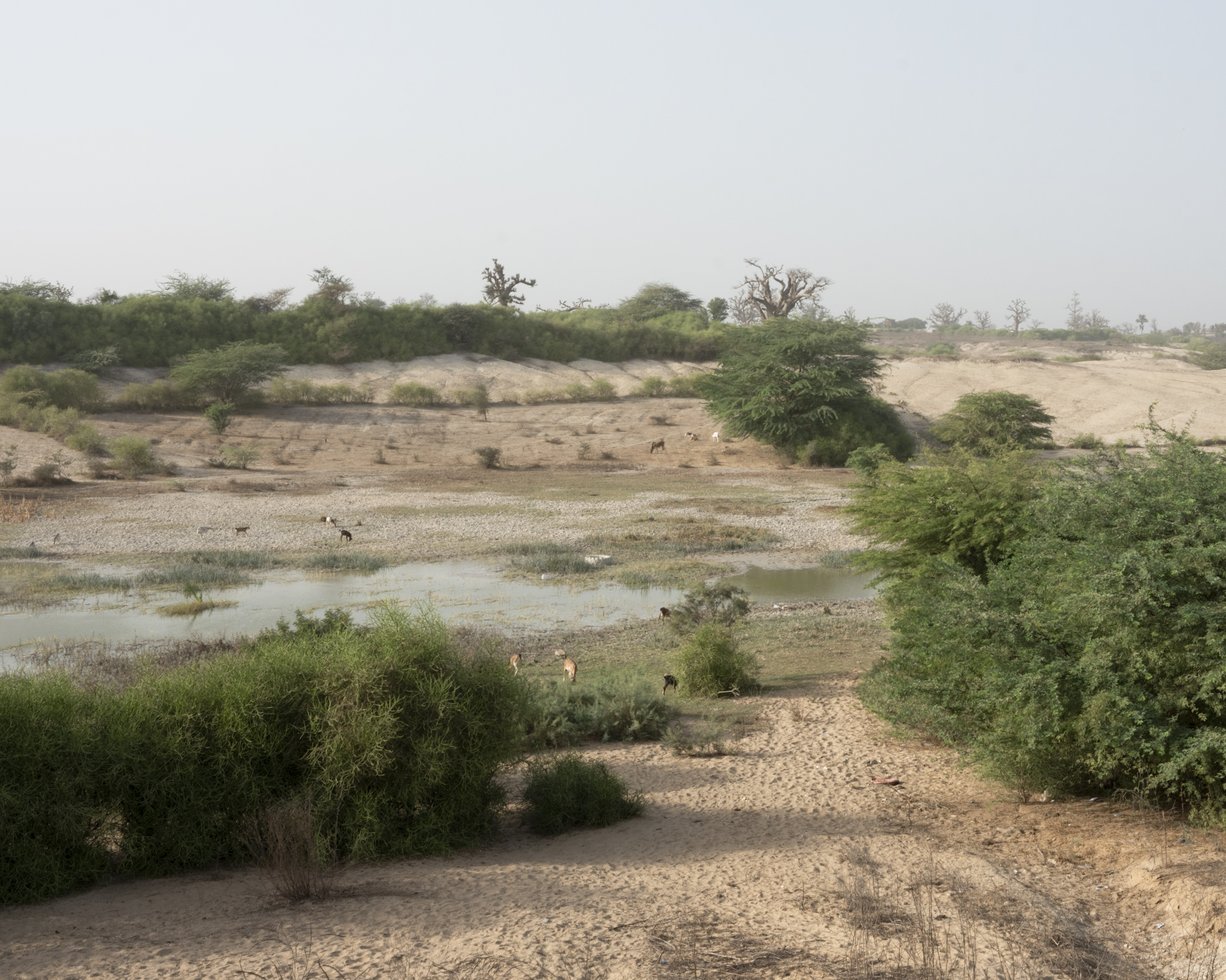 Observatoire écocitoyen des pollutions et de l’urbanisation de Sebikotane